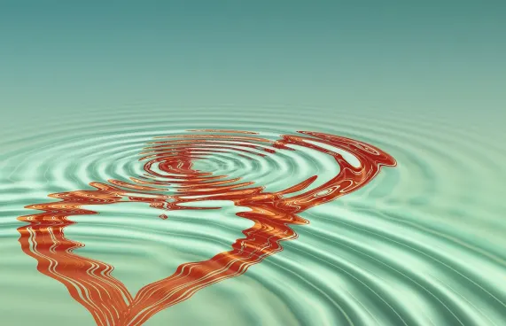 Casollo Casino Stuðningur